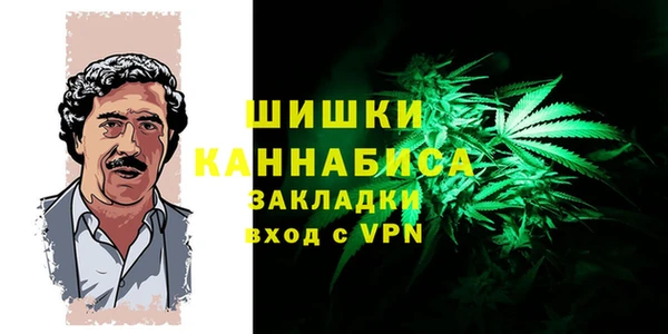 прущие грибы Липки