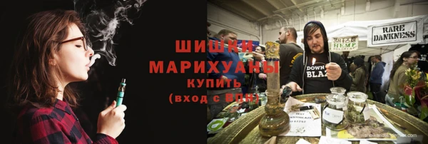 прущие грибы Липки