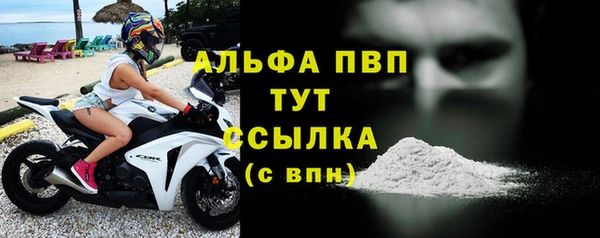 прущие грибы Липки