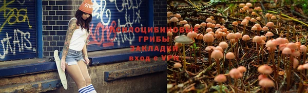 прущие грибы Липки
