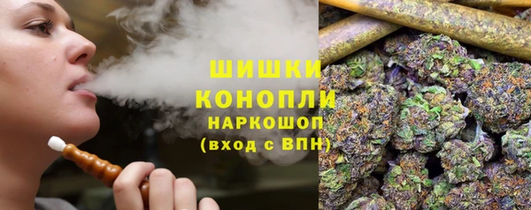 прущие грибы Липки