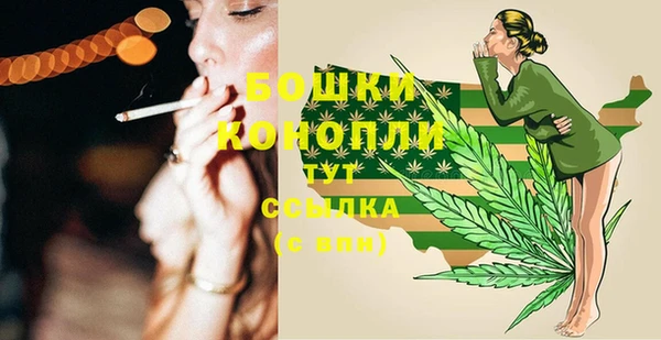 прущие грибы Липки