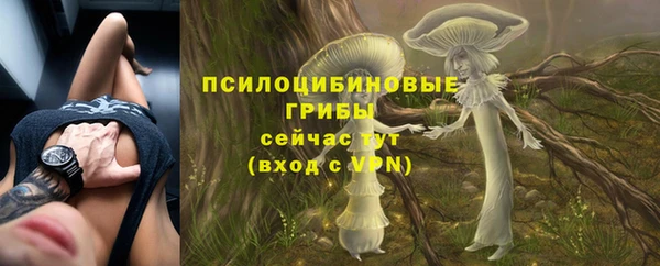 СК Лихославль