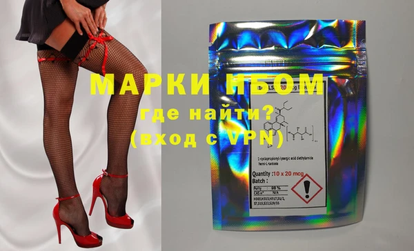прущие грибы Липки