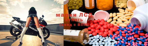 прущие грибы Липки