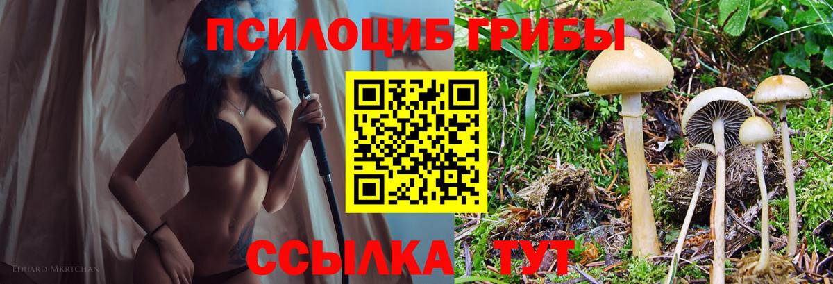 Галлюциногенные грибы Magic Shrooms Назрань