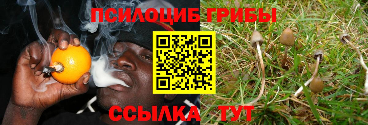 Галлюциногенные грибы мицелий  Назрань 